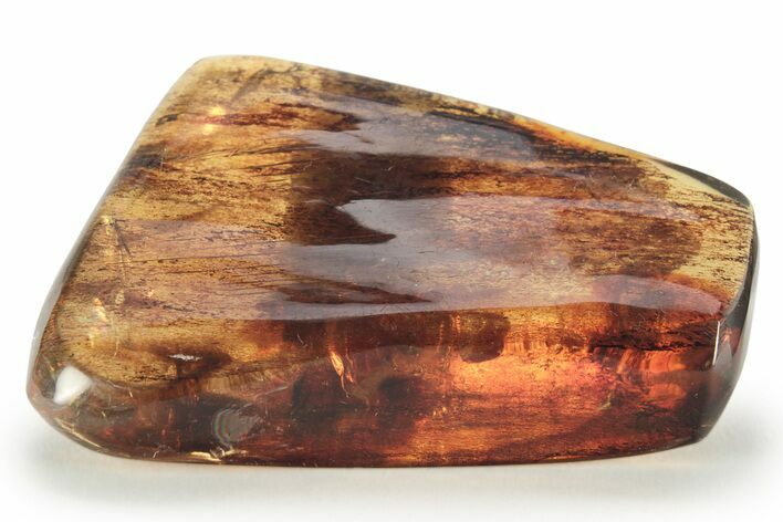 Polished Chiapas Amber ( grams) - Mexico #232586